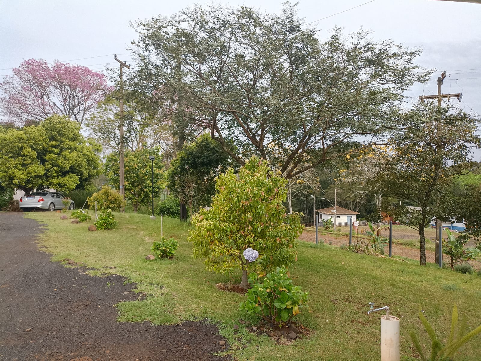 JARDINEIRO(A)