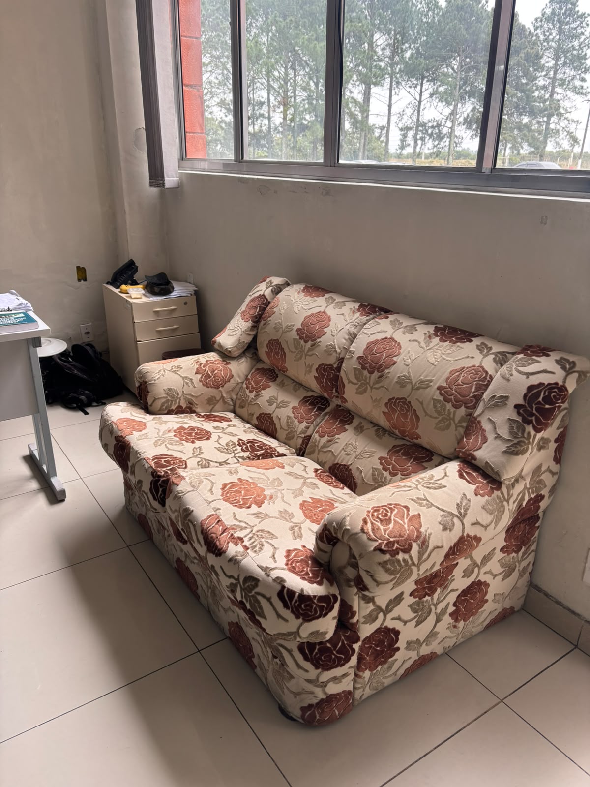LAVADOR(A) DE ESTOFADO E SOFÁ INDEPENDENTE
