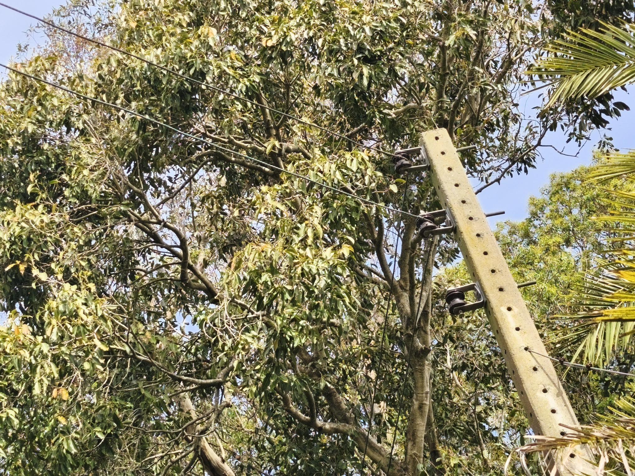 ELETRICISTA EM RESIDÊNCIAS E ESTABELECIMENTOS COMERCIAIS INDEPENDENTE